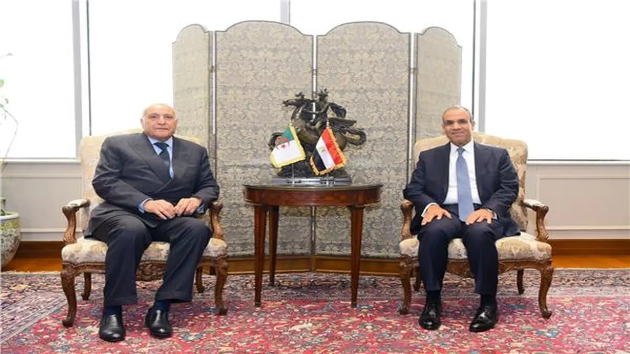 مصر والجزائر يدعمان تهيئة الأجواء للانتخابات الليبية المقبلة